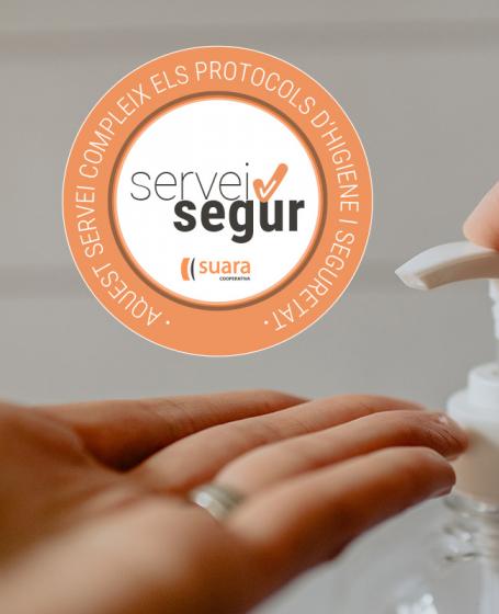 Servei Segur