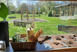 imatge d'una escola a Carpi