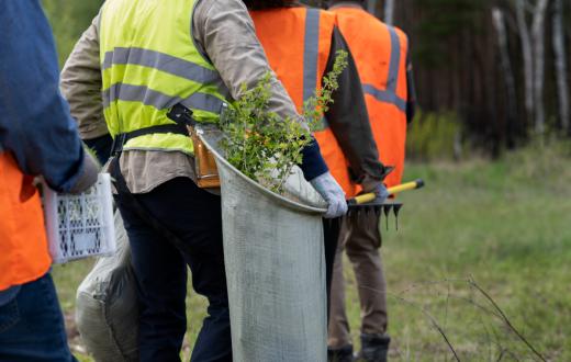 Un grup de persones treballen al bosc, a l'aire lliure, on estan subjectes a les adversitats de la climatologia