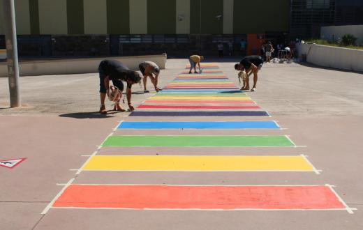 Un grup de persones pinten el pas de zebra amb els colors de la bandera LGTBIQ+