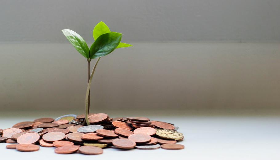 dinero con una hoja