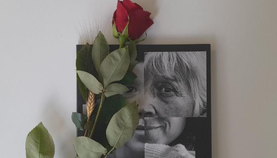 Sant Jordi 2023