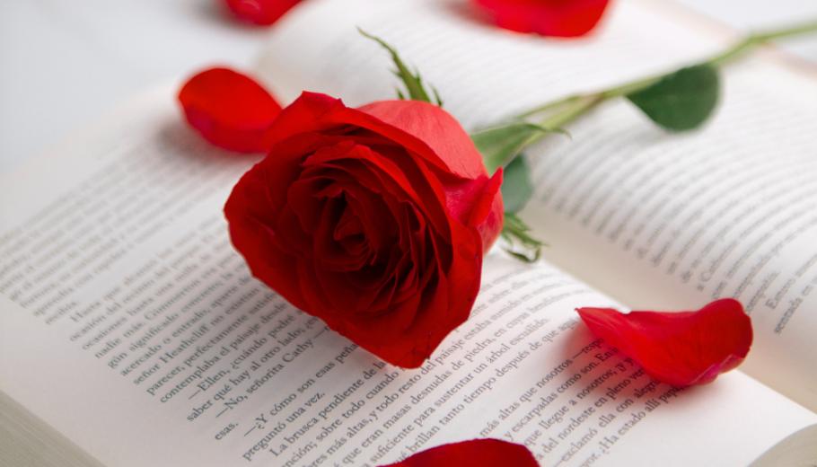 sant-jordi-2024-rosa-llibre