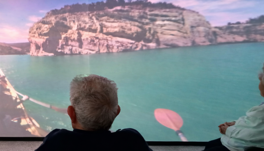 Proyecto-cognitio-suara-cooperativa