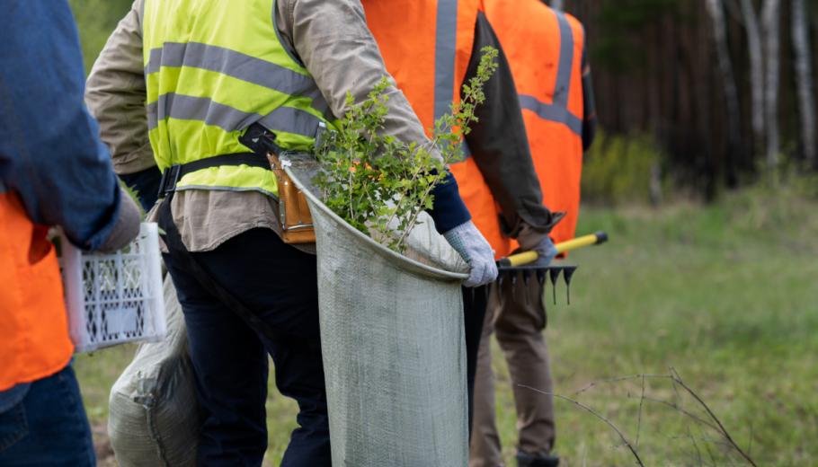 Un grup de persones treballen al bosc, a l'aire lliure, on estan subjectes a les adversitats de la climatologia