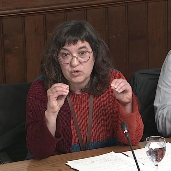 Compareixença al Parlament de Catalunya