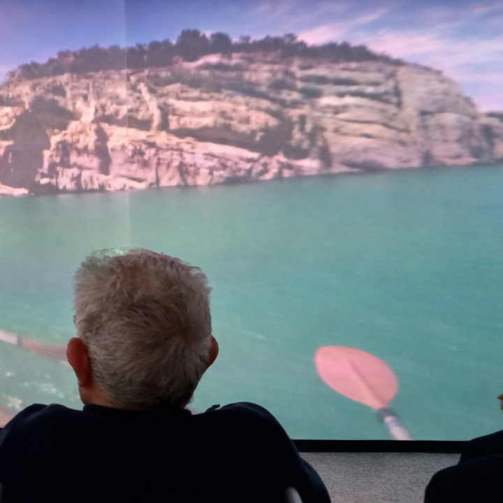 Project-cognitio-suara-cooperativa