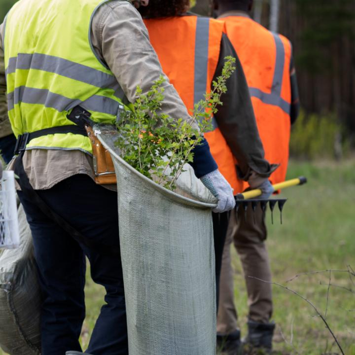 Un grup de persones treballen al bosc, a l'aire lliure, on estan subjectes a les adversitats de la climatologia