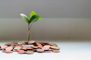 dinero con una hoja