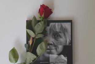 Sant Jordi 2023