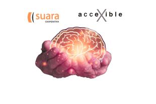 cerebro campanña accexible