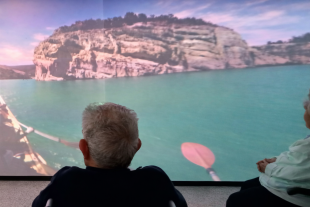 Proyecto-cognitio-suara-cooperativa