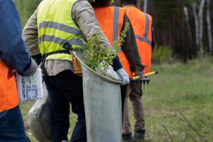 Un grup de persones treballen al bosc, a l'aire lliure, on estan subjectes a les adversitats de la climatologia